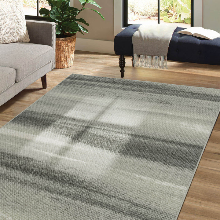 Living room with a gray striped rug, sofa, and plant