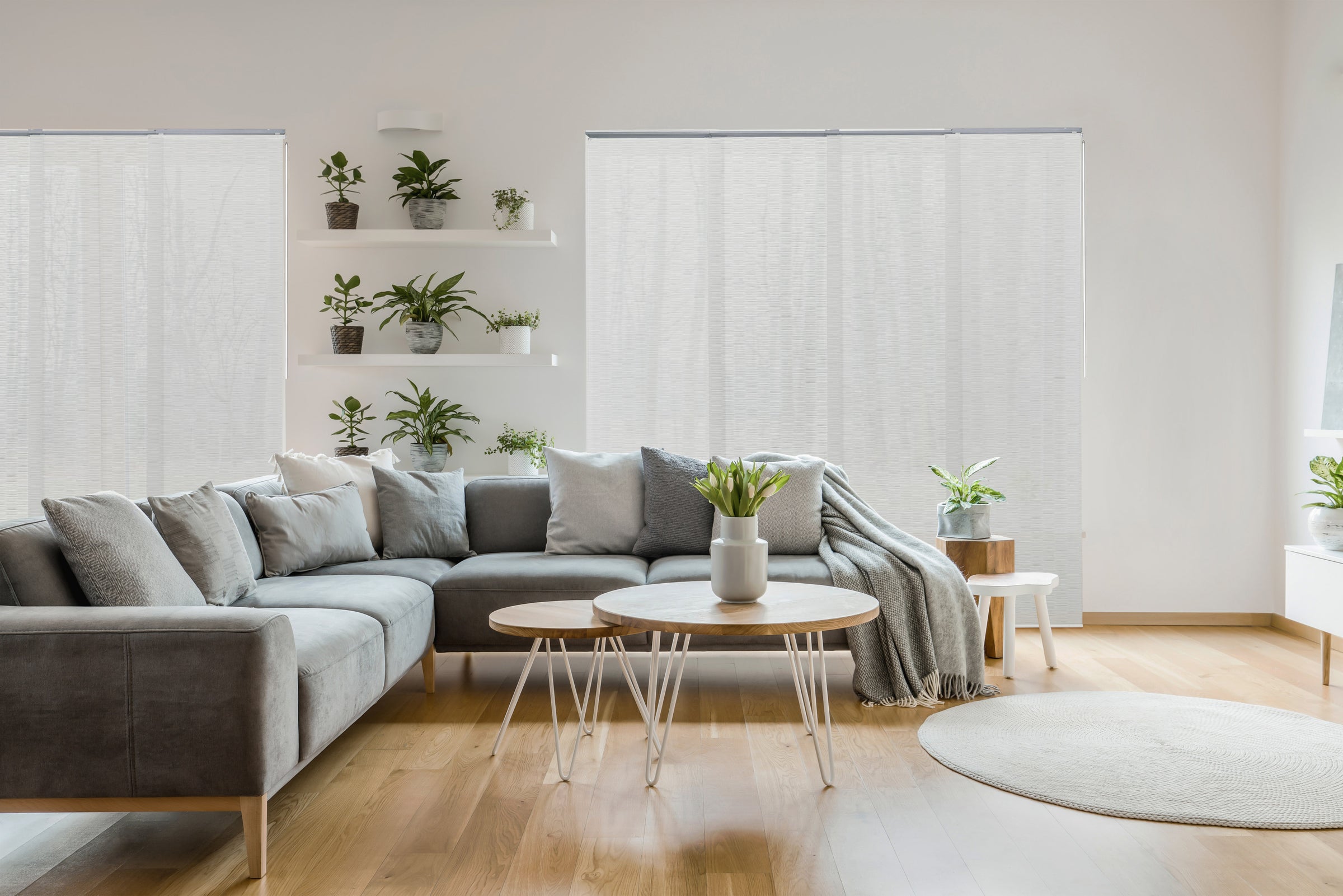 GoDear Design_Modern living room with a gray sectional sofa, round coffee table, and decorative plants.