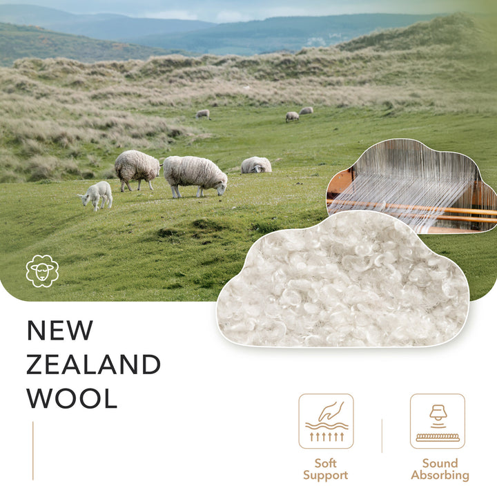 Sheep grazing in a New Zealand landscape with a product image overlay.