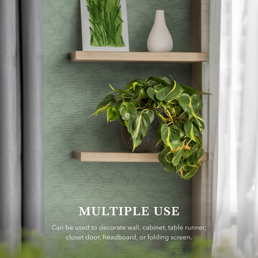 Green textured backdrop with wooden wall shelves, potted trailing plant, minimalist decor, and soft natural light.