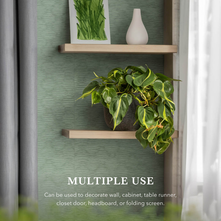 Green textured backdrop with wooden wall shelves, potted trailing plant, minimalist decor, and soft natural light.