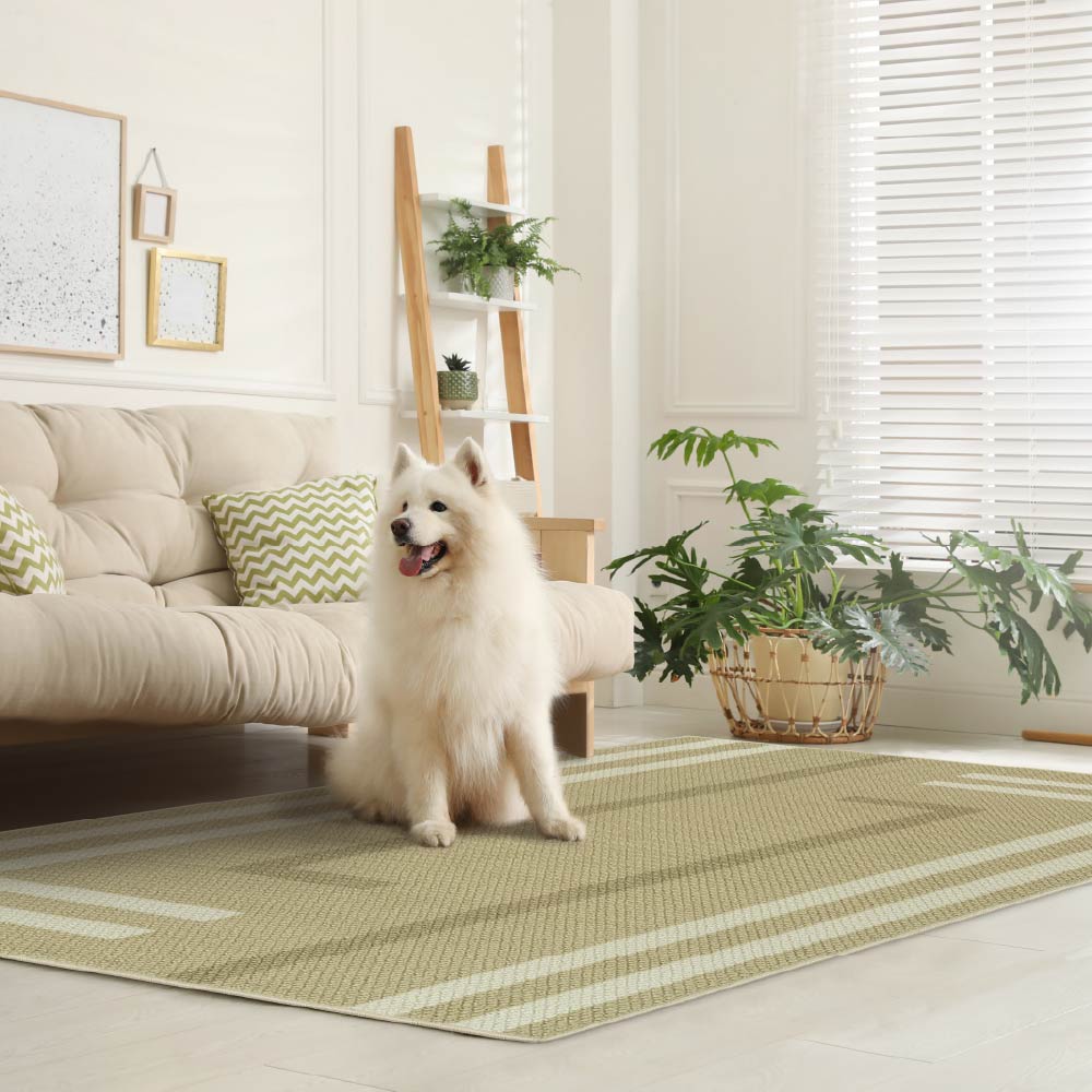 White dog sitting on a green and beige striped rug in a living room with plants and a sofa.