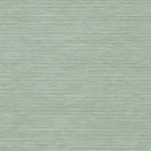 Solid light green color swatch