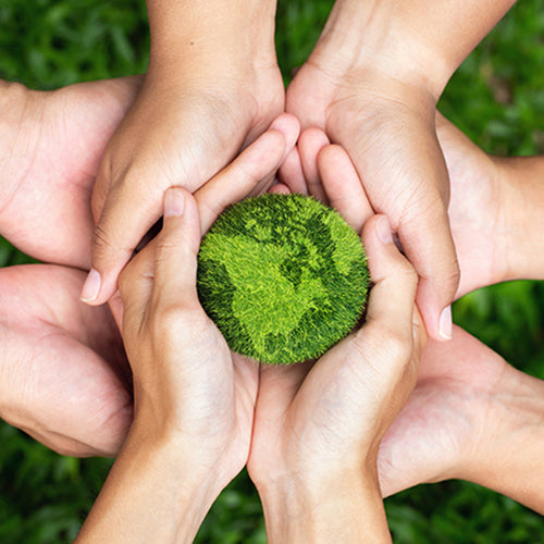 GoDear Design Brand Value Eco-friendly